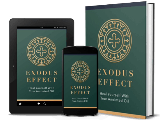 Exodus Effect